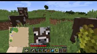 【マインクラフト】ミントのマイクラ日記　2話　拠点建築と村発見！