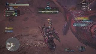 モンスターハンター：ワールド　京都市ガンランスの会初の共同作業