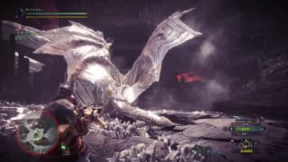 骨ヘビィボウガンvsクシャルダオラ　約11分30秒討伐（モンスターハンター：ワールド_20180503）