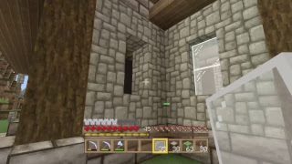 【マインクラフト】ちゅなかんの生放送【＃52】【初見さん歓迎】