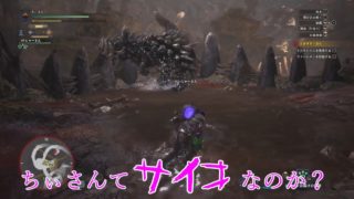 [店長とバイトR]モンスターハンター:ワールド　実況[Part12]