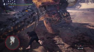 モンスターハンター：ワールド_20180522084313
