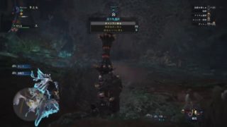 モンスターハンターワールド ランサーがソロで歴戦古龍狩る。