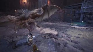 モンスターハンター：ワールド_20180428152152