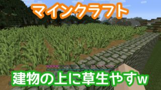 マインクラフト ～のんびりサバイバル～ガリボリタイムw生放送