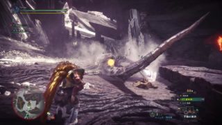 モンスターハンター：ワールド_20180523070037