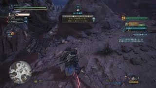 モンスターハンター：ワールド_20180513052613