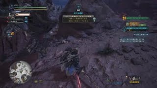 モンスターハンター：ワールド_20180513052613