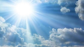 ファイターズ　経験者動画