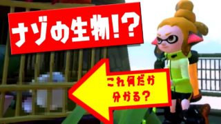 【スプラトゥーン2小ネタ】タコツボキャニオンの白い生物を追え！【うわさちょーさだん】