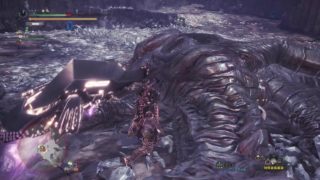 モンスターハンター：ワールド　歴戦クシャルダオラ乙