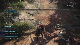モンスターハンター：ワールド_20180510192634