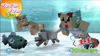 【マインクラフト】視聴者参加型　プッチンプリン【くままのマイクラ実況】