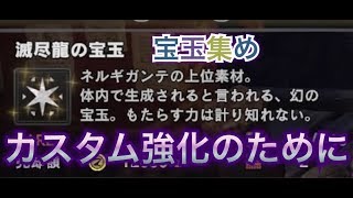 参加型！カスタム強化のために！「モンスターハンターワールド」