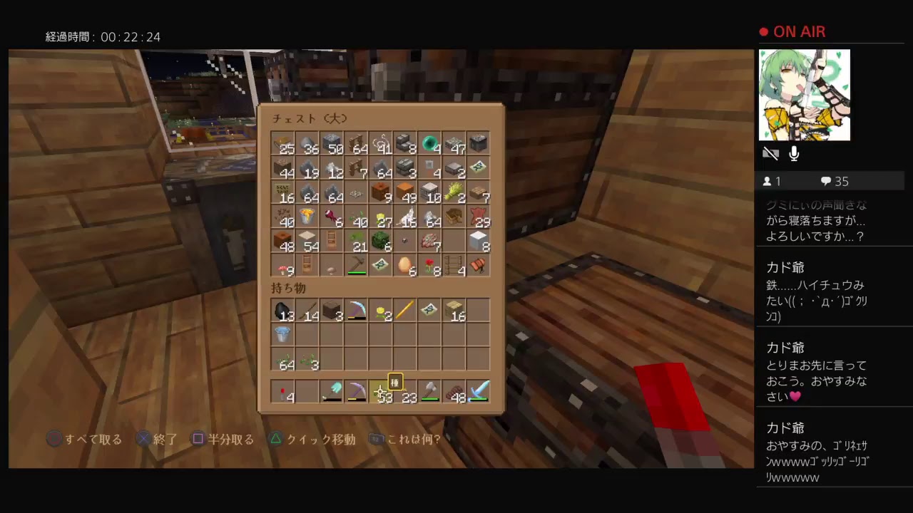 PS4 マインクラフト垂れ流し