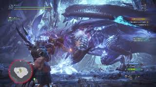 【MHW】モンスターハンター：ワールド 『収束の地』