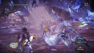 モンスターハンター：ワールド_20180510215555