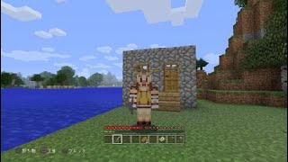 ルリ島のマインクラフト2