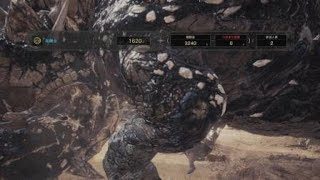 モンスターハンター：ワールド_相方のおかげで闘技大会08でSランク