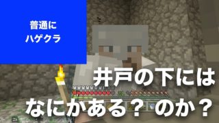 【マインクラフト】ハゲクラ Part3 マイクラあるある？ 都市伝説？ 村の井戸の下にはなにかある？ のか？（Nintendo Switch, スイッチ）