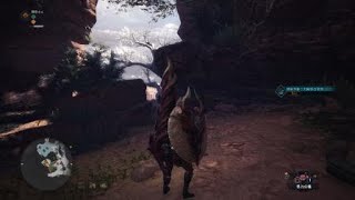 モンスターハンター：ワールド_20180526161541