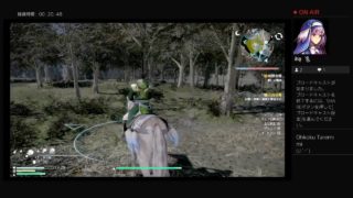 真・三國無双8　適当にまったり～