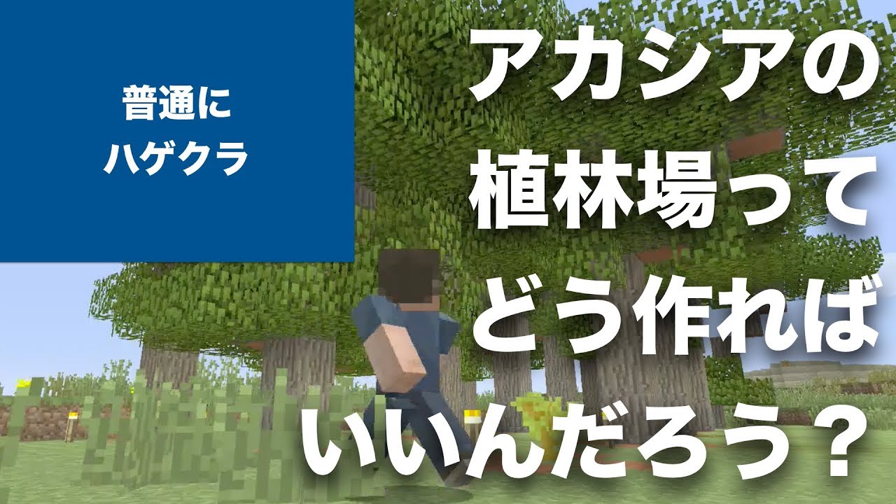 【マインクラフト】ハゲクラ Part2 簡単な村人増殖。アカシアの植林場って、どんなふうに作ればいいんでしょうね？（Nintendo Switch）