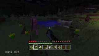 マインクラフトやる