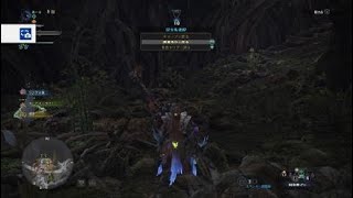 モンスターハンター：ワールド　イビルジョー実況