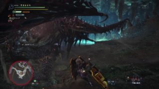 モンスターハンター：ワールド_歴戦ブァルハザク　睡眠ガンス　ソロ討伐