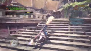 【モンスターハンターワールド】初心者が狩りしたり眺めたりする【タイピング放送】