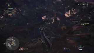 【MHW】深夜に2人でまったり狩り！【モンスターハンターワールド】”生放送”