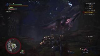 ［初見さん歓迎］狩猟解禁！モンスターハンターワールド実況#2 ZN6Games