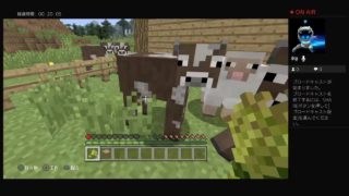 喧嘩がたえないマインクラフト【かいと視点】