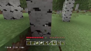 まったり雑談　マインクラフト コメント歓迎