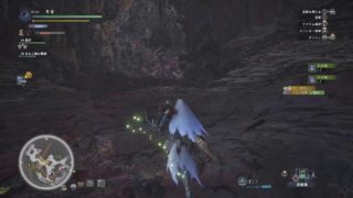 [PS4]モンスターハンター・ワールド - 瘴気の谷で調査にフケるよ・続き