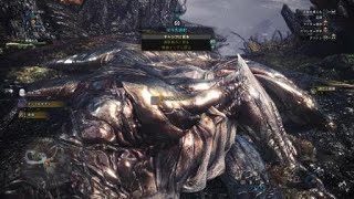 モンスターハンター　歴戦クシャナダオラ
