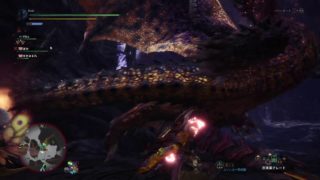 モンスターハンター：ワールド_20180516210011