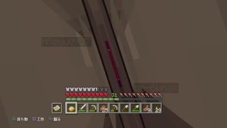 マインクラフト［生配信］ゾンビ狩りたい