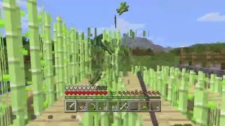 【PS4版マインクラフト】参加×　初見大歓迎　コメント是非　概要欄見てください