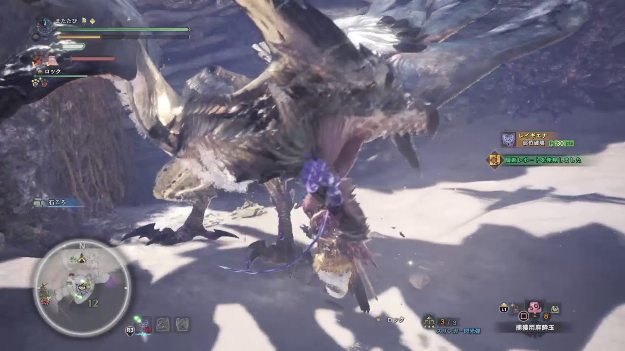 モンスターハンター：ワールド_歴戦の個体レイギエナで調査レポート集め。