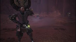 モンスターハンター：ワールド_20180525045828