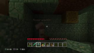 マインクラフト　二人でのんびり