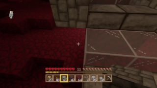 【マインクラフト】ちゅなかんの生放送【＃34】【初見さん歓迎】