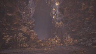 モンスターハンターワールド　マムタロトと遊んだーやつ