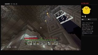 [マインクラフト] ソロで巨大な？建物を建築中 #19