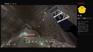 [マインクラフト] ソロで巨大な？建物を建築中 #19