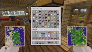 マインクラフトで謎の悲鳴が聞こえた