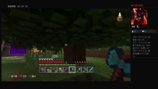 マインクラフト【のんびりプレイ！！】  気紛れライブ配信(･ω･ゞ－☆