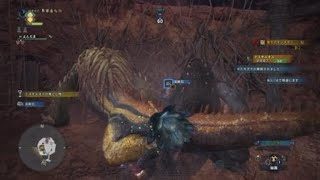 [MHW]モンスターハンター：ワールド　 ドドド三兄弟にて